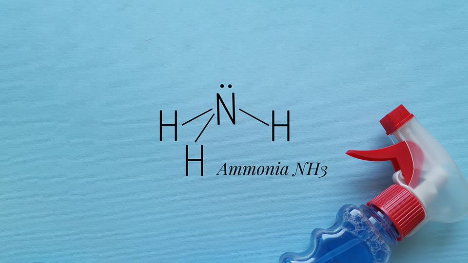 Γιατί η αμμωνία είναι βάση;