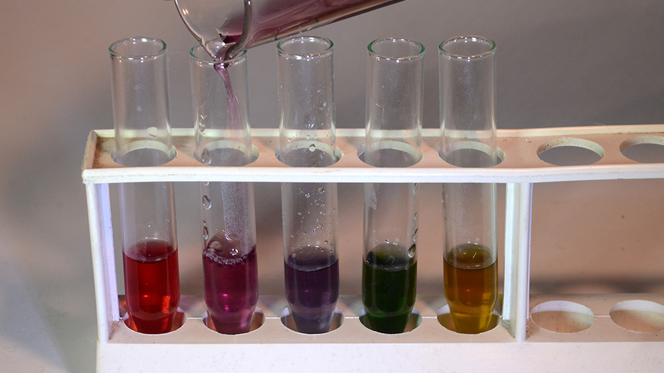 Φυσικοί δείκτες και τα χρώματά τους σε όξινα και βασικά διαλύματα