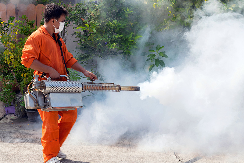 Ψεκασμός με DDT για τον περιορισμό της ελονοσίας (Ταϊλάνδη, 2016)